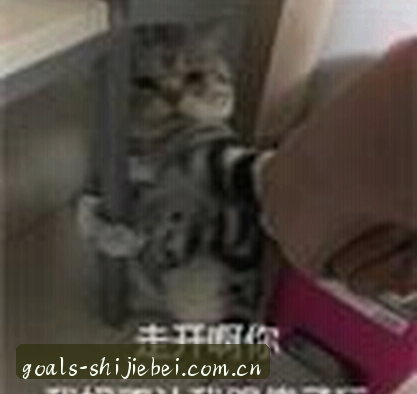 刘敏